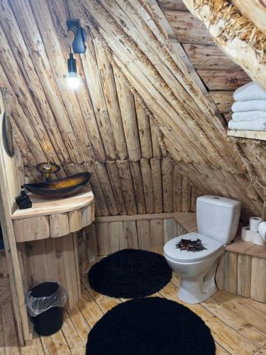 a bathroom with a toilet in a log cabin at Mała Bawaria in Zakopane