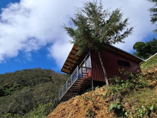 a house on top of a hill with a tree at Altura House in Rivas