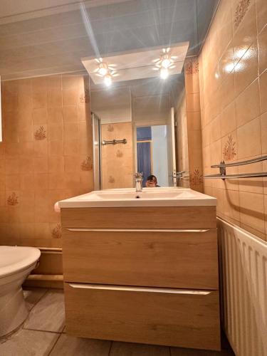 une salle de bain avec un lavabo, des toilettes et un miroir dans l'établissement Studio 4 à 6 personnes, à Saint-Étienne-en-Dévoluy