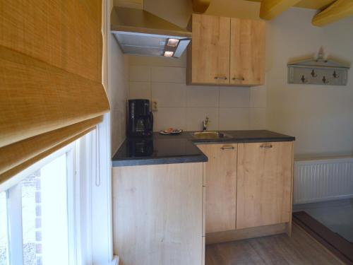 a small kitchen with wooden cabinets and a sink at Farmhouse in Geesteren near Forests in Geesteren