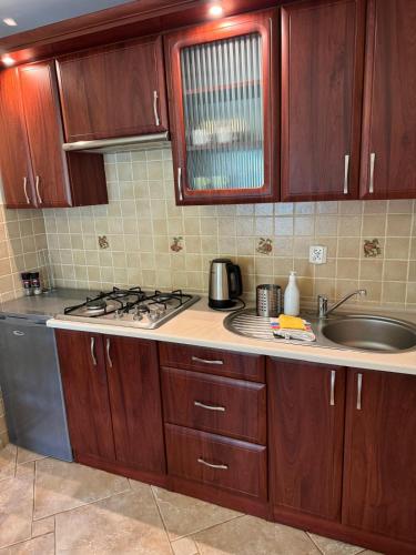 a kitchen with wooden cabinets and a sink and a stove at Apartament I Chochołów 162c in Chochołów