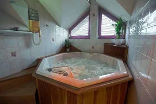 a bathroom with a bath tub with a shower at Hostel - Rooms Kaj & Kaja in Slivnica pri Mariboru