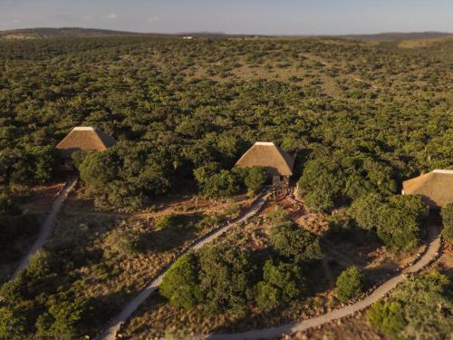 an aerial view of a forest with trees at Induli Lodge - Amakhala Game Reserve in Amakhala Game Reserve
