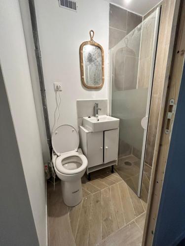 une salle de bain avec toilettes, lavabo et douche dans l'établissement Cozy appart next Paris and aéroport CDG, à Sevran