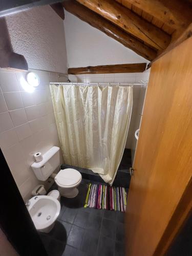a bathroom with a toilet and a shower curtain at Aldea Bolsón in El Bolsón