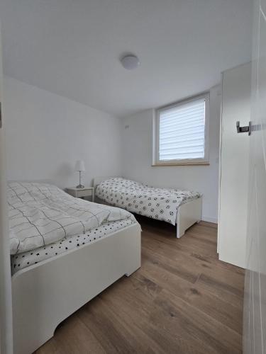 two beds in a white room with a window at Hunsrücker Tiny Ferien L in Hottenbach