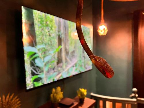 a spoon hanging from the ceiling of a room at L'Amazonia - Private spa in Boulogne-sur-Mer