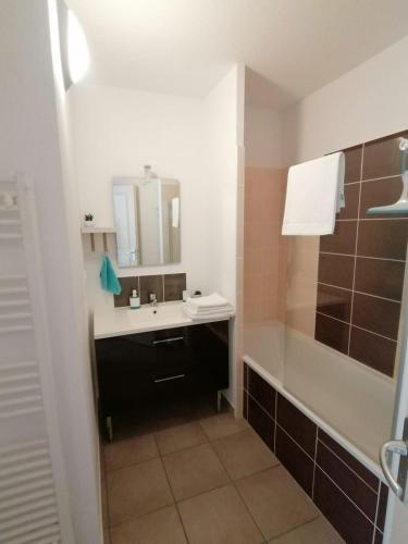 une salle de bain avec un lavabo et une douche dans l'établissement Appartement avec balcon, Ax-Les-Thermes, à Ax-les-Thermes