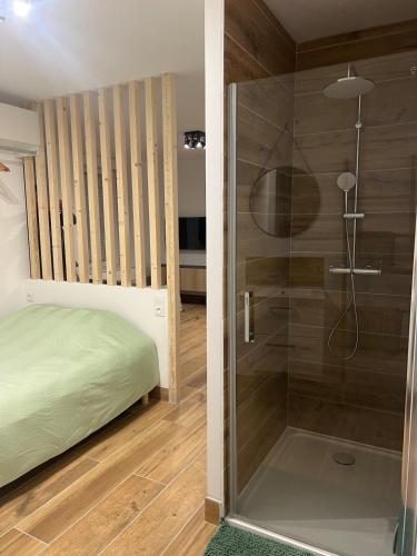 - une chambre avec une douche et une porte en verre dans l'établissement Logement cosy pour 2 personnes, à Bourbourg