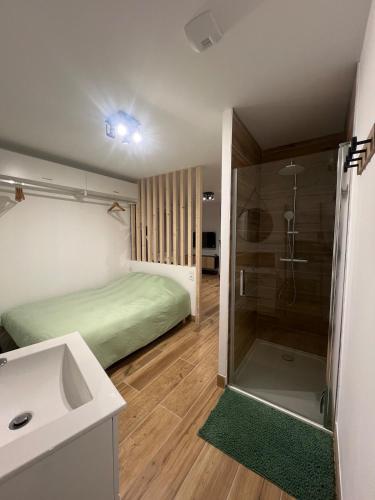 une salle de bain avec un lit, une douche et un lavabo dans l'établissement Logement cosy pour 2 personnes, à Bourbourg