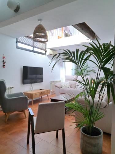 a living room with a couch and a potted plant at Los Patios AT-CC-00962 in Plasencia