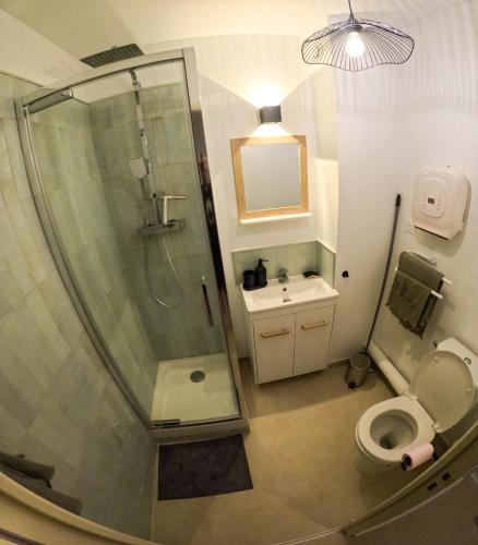une salle de bain avec une douche, des toilettes et un lavabo dans l'établissement NEW! Wifi, Netflix Le Refuge des Berges, à Beaucaire