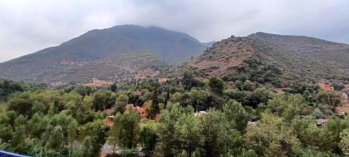 a view of a mountain with trees and houses at siti fadma ourika Marrakech in Aghbalou