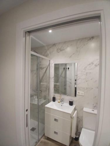 a bathroom with a shower and a sink and a toilet at Casa o Sabio in Fisterra
