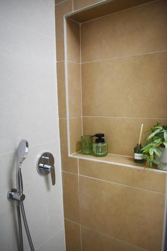 a shower stall with a shelf with plants on it at Ecoloft Estudios in Cartagena