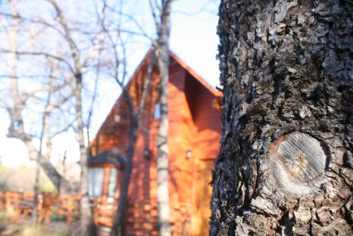 a tree in front of a building with a tree trunk at Cabañas Tronco Mayen in Las Trancas