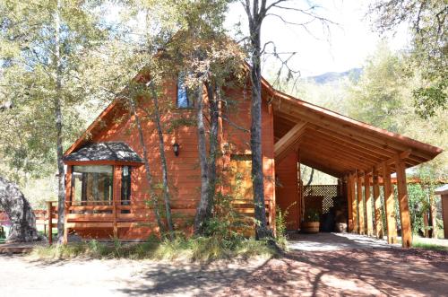 a log cabin in the woods with a tree at Cabañas Tronco Mayen in Las Trancas