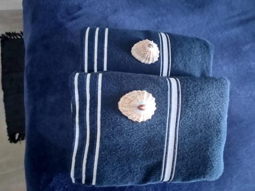 two donuts sitting on top of a blue pillow at Anreith Close in West Point