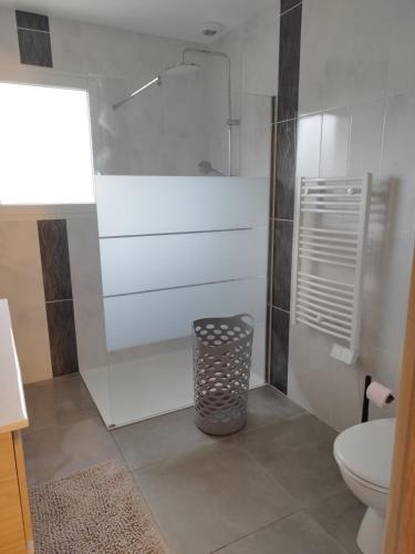 une salle de bain avec douche et toilettes dans l'établissement Domaine de Veauce proche de Bourges, à Saint-Doulchard