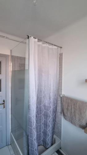 une douche avec un rideau de douche dans une salle de bain dans l'établissement F3 lumineux et rénové, Centre ville, à Vitry-le-François