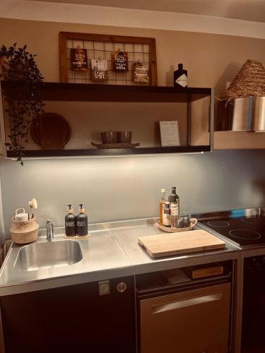 a kitchen counter with a sink and a stove at Apartment am Schloss - FLAIR in Saarbrücken
