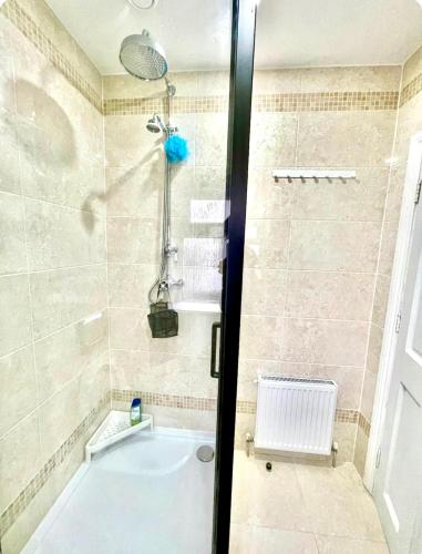 a bathroom with a shower with a bath tub at Landscape Haven Room in Dublin