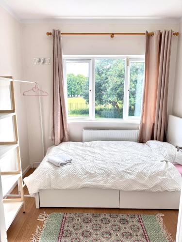 a bedroom with a bed and a window at Landscape Haven Room in Dublin