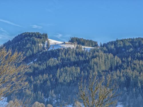 a snow covered hillside with trees on it at Kitz Hills Chalet Mondschein in Kitzbühel