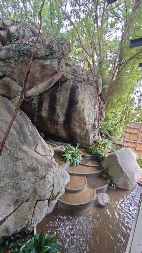 a set of steps in the water with rocks and trees at Ozone Cave in Thong Nai Pan Noi