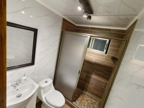 a bathroom with a shower and a sink and a toilet at Cabaña Drak Bosque y Mar 2 in Tomé
