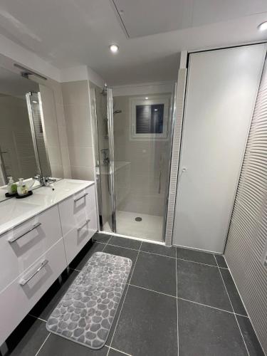 アンティーブにあるNew Appartment in Antibesのバスルーム(シャワー、ウォークインシャワー付)