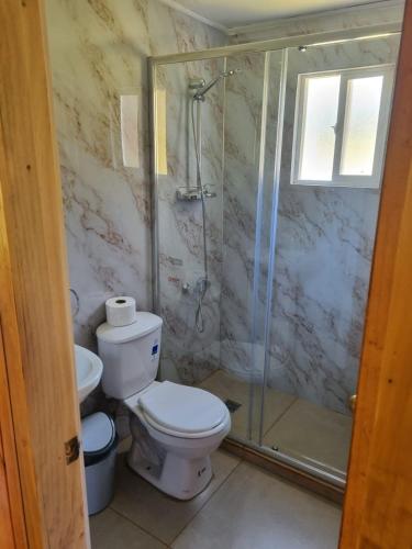 a bathroom with a toilet and a shower at Hermosa cabaña para 6 personas in Ralún