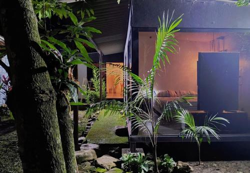 a house with plants in front of it at House Viotá in Viotá
