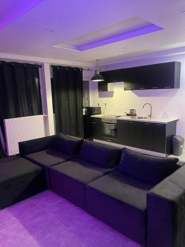 un salon avec un canapé et une cuisine dans l'établissement Secret room, au Havre