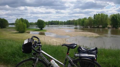 a bike parked in the grass next to a river at Ferme de La poterie in Donnery