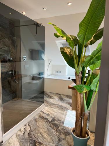 a bathroom with a shower and a plant at B&B’s im Aischgrund in Adelsdorf