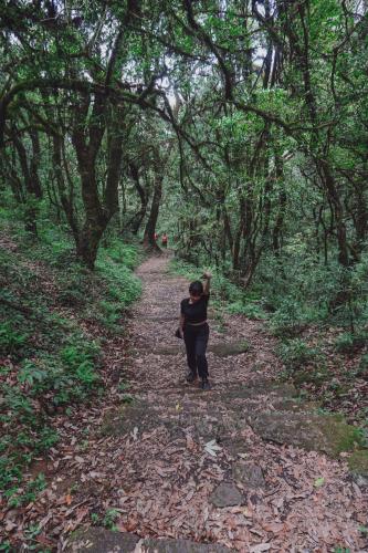 a woman standing on a path in the woods at Jhigu Homestay Patan in Kathmandu