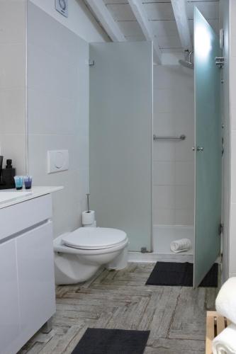 a white bathroom with a toilet and a shower at Carmel Pearl in Haifa