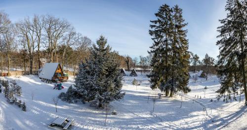 an aerial view of a snow covered field with trees at Folwark Wierzchy in Wierzchy