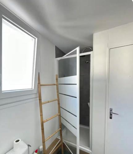 une salle de bain avec une échelle et une douche en verre dans l'établissement La pause bretonne, à Saint-Brieuc