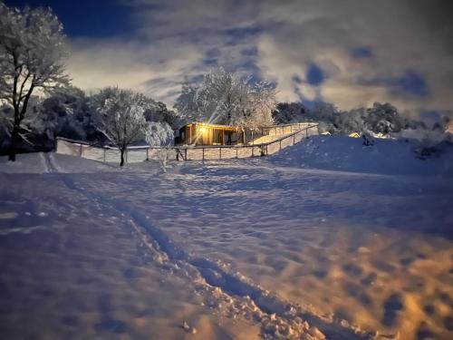 The Tiny House