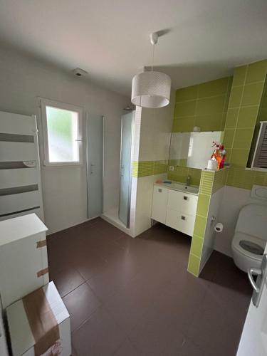 une salle de bain avec un lavabo et des toilettes dans une chambre dans l'établissement House with a hidden garden, à La Roche-sur-Foron