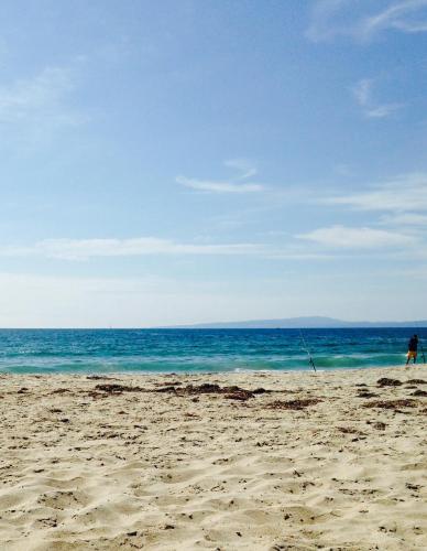 a person standing on a beach with the ocean at Captain's Inn at Moss Landing in Moss Landing