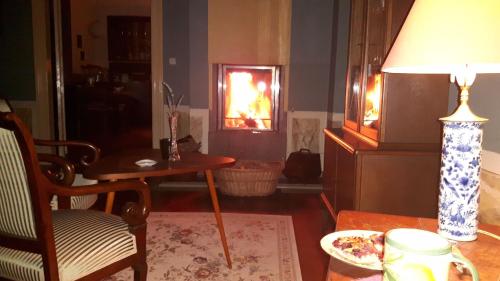 a living room with a fireplace and a table and a lamp at Romantische Ferienwohnung im Herrenhaus Wüstenhain Spreewald in Vetschau