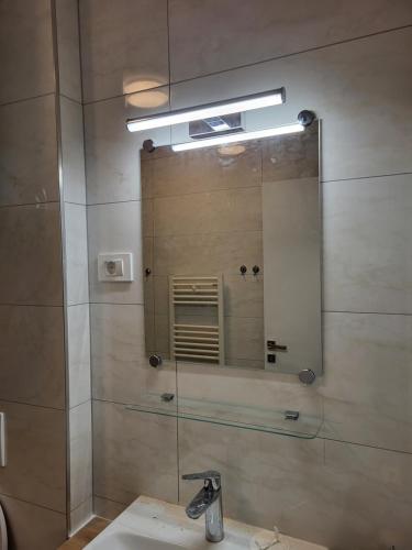 a bathroom with a shower with a sink and a mirror at Sunny AP22 in Bovec