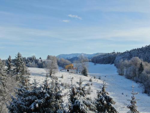 a house on a hill in a snow covered field at Wild House Donovaly in Donovaly