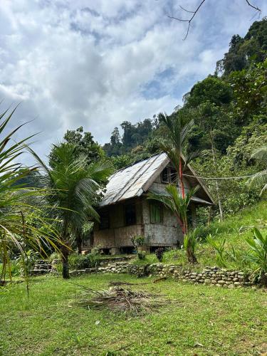 an old house with a tin roof in a field at Back to Nature Ecotourism in Bukit Lawang