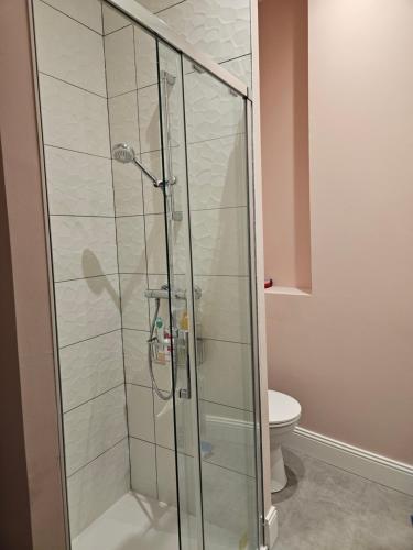 La salle de bains est pourvue d'une douche en verre et de toilettes. dans l'établissement La Goéliane - Appartement 2 chambres proche mer, à Wimereux