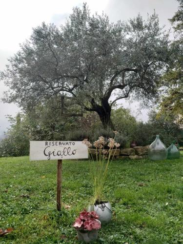 Κήπος έξω από το Agriturismo Montesalce