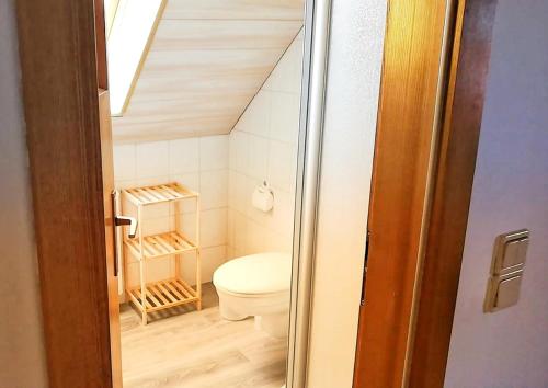 a small bathroom with a toilet in a attic at Ferienwohnungen Lindenhof in Falkenberg